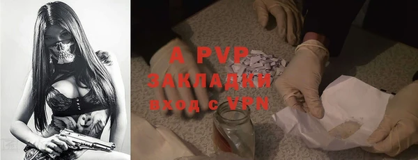 стафф Алексин