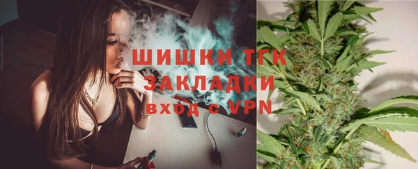гашик Алексеевка