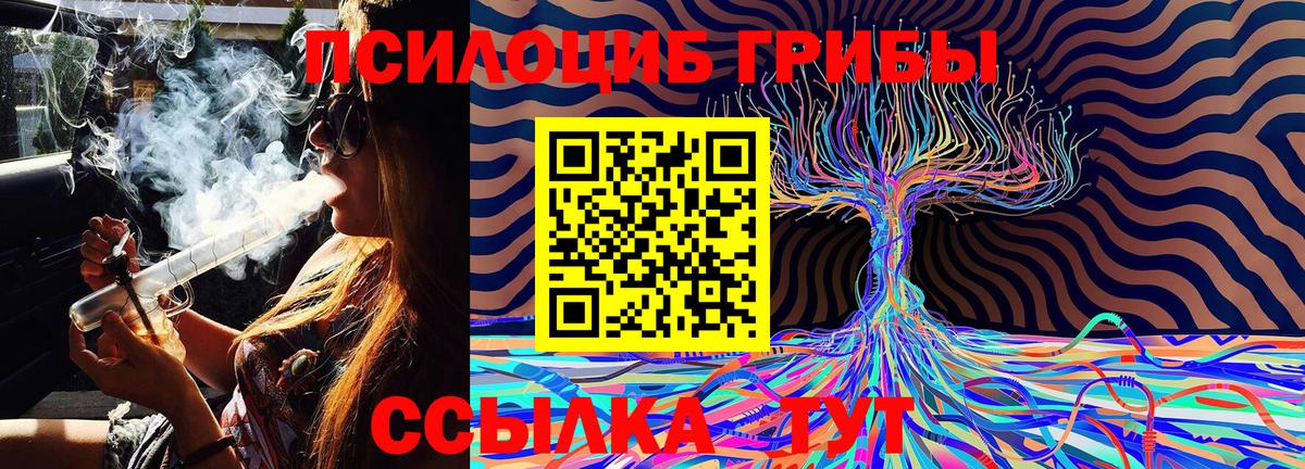Галлюциногенные грибы прущие грибы  Вход с VPN  Псилоцибиновые грибы Magic Shrooms  наркотики  Урюпинск 